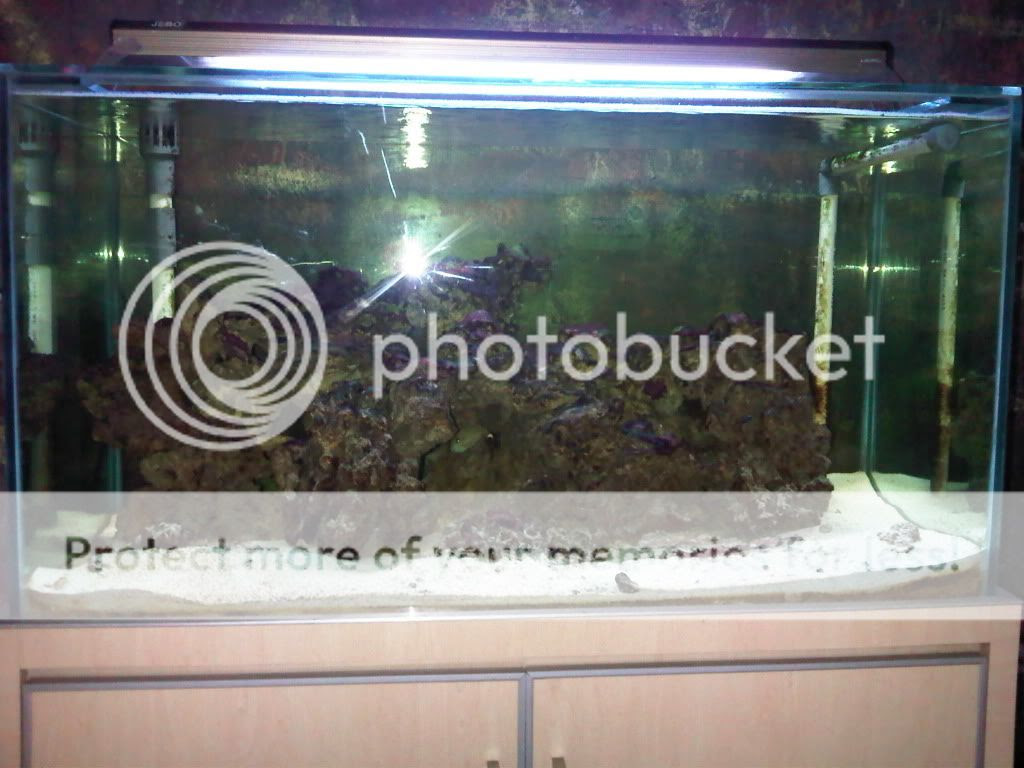 Jual Aquarium  Murah Palembang  SEO Korek