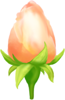無料イラスト画像 綺麗な薔薇 つぼみ イラスト
