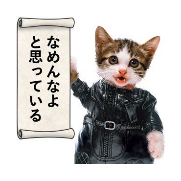 配置 保有者 絶壁 なめ 猫 壁紙 Kawamo Jp
