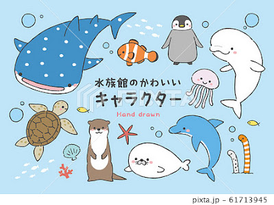 いろいろ 生き物 手書き かわいい 魚 イラスト 簡単 240929