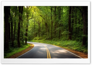 Download free widescreen desktop backgrounds in high quality resolution 1080p. Wallpaperswide Com Nature Ultra Hd Wallpapers For Uhd Widescreen Ultrawide Multi Display Desktop Tablet Smartphone Page 1