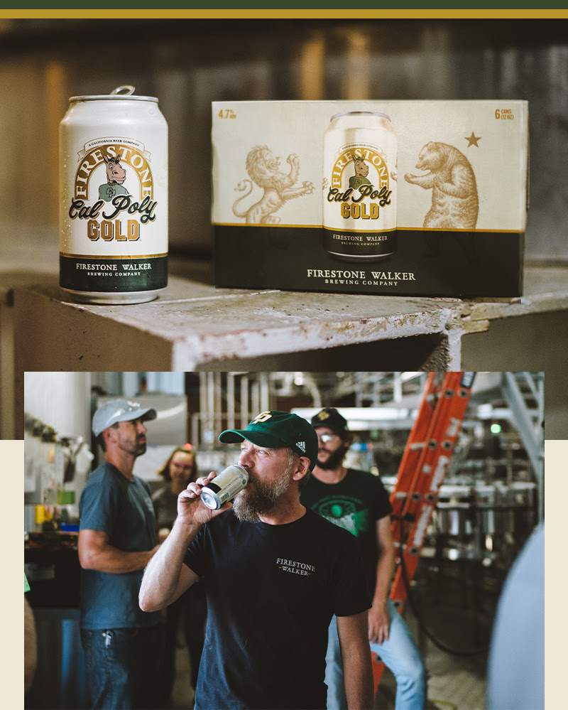 An image of the Cal Poly Gold can and six-pack carrier above an image of Firestone Walker Brewmaster Matt Brynildson drinking from a can of Cal Poly Gold during canning day