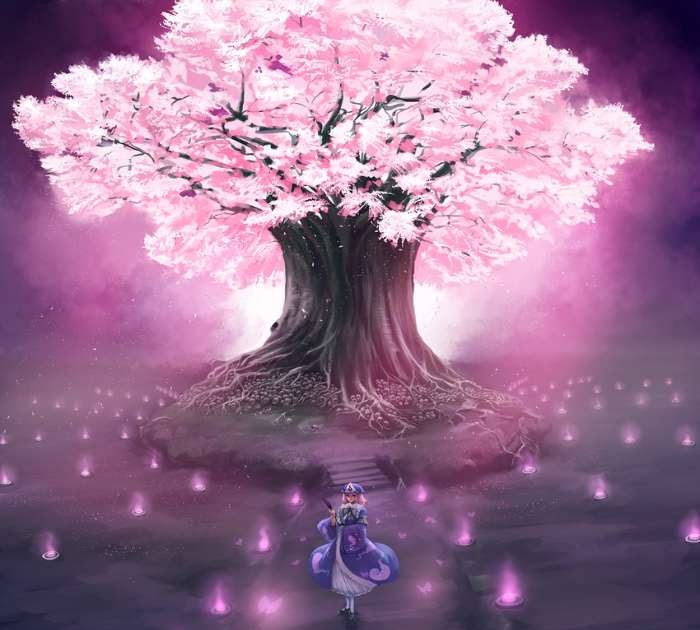 アニメ 桜 壁紙 背景 画像 Udin