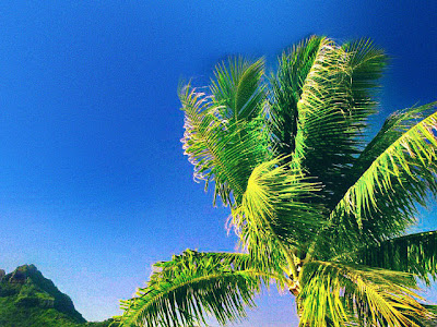 夏 iphone 壁紙 高画質 282613-夏 iphone 壁紙 高画質