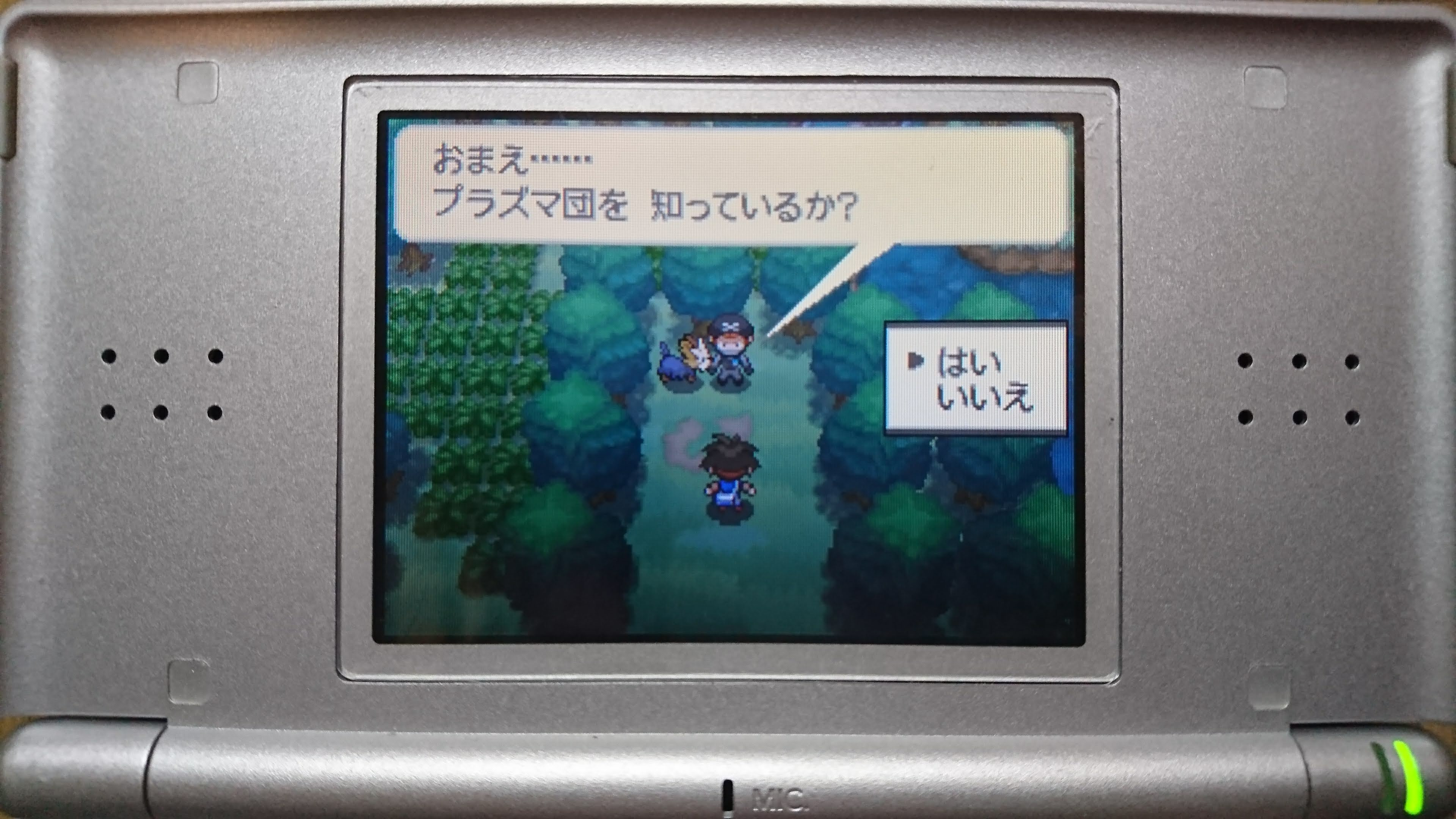 ポケモンbw 旅パ イメージポケモンコレクション