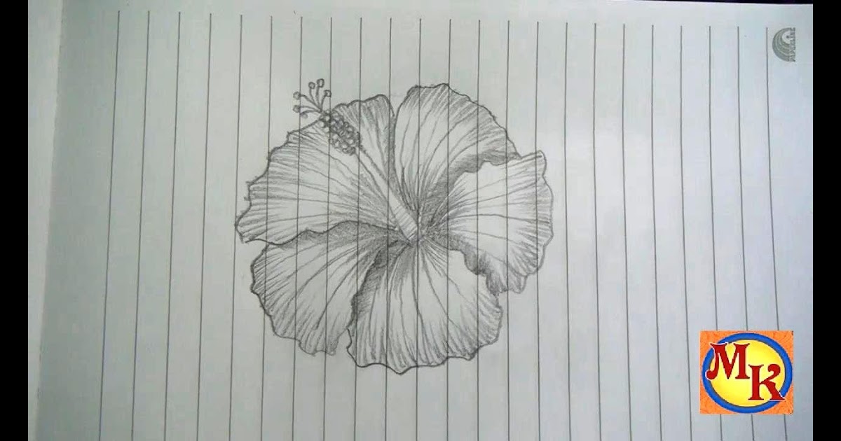 11 Contoh Gambar Bunga 3 Dimensi  Pensil Yang Mudah 