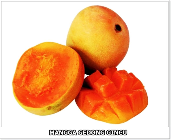 Mangga Gedong Gincu-4-01