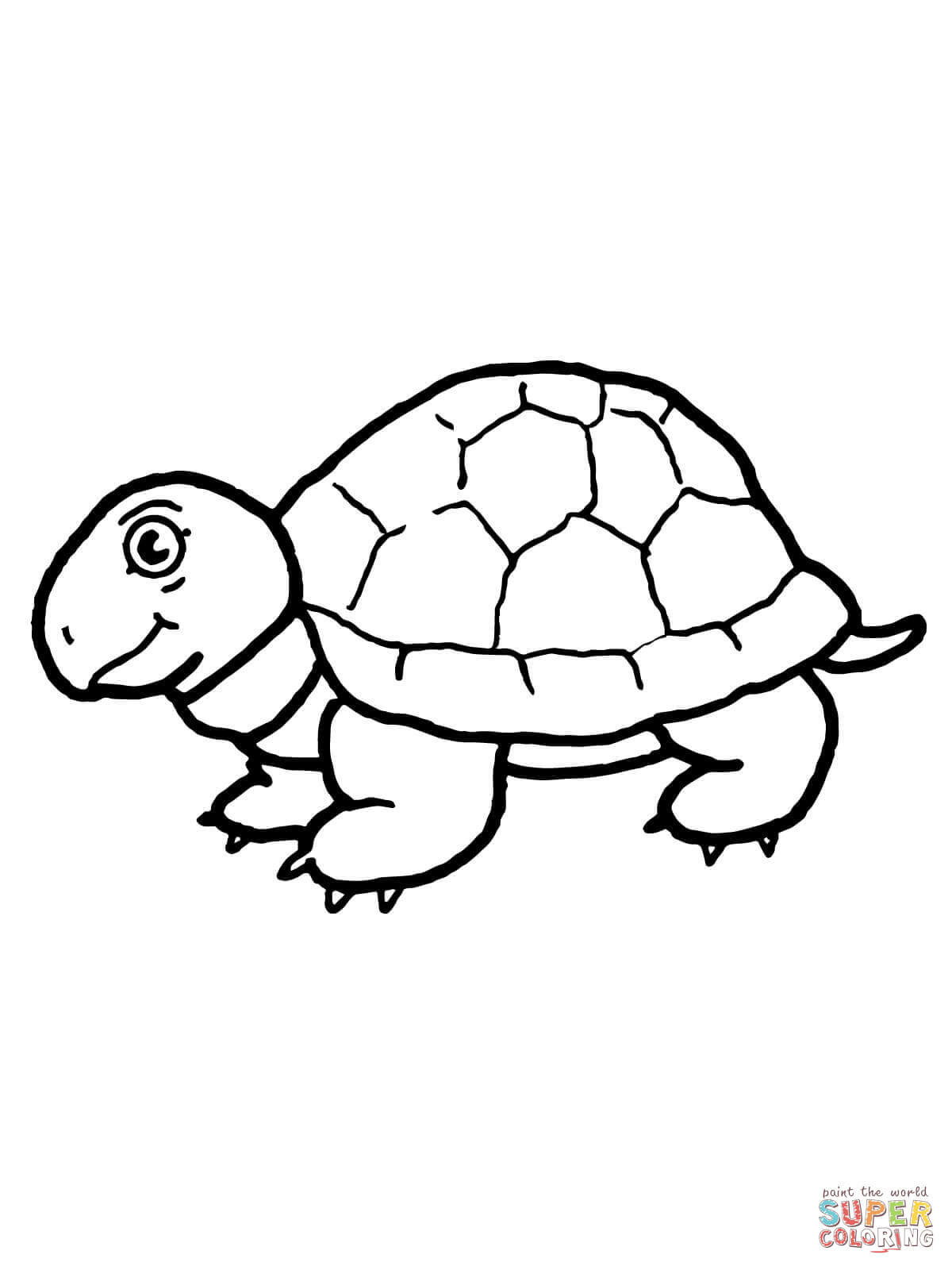 Free printable tortoise coloring pages for kids! Tortoise Coloring Pages Free Coloring Pages