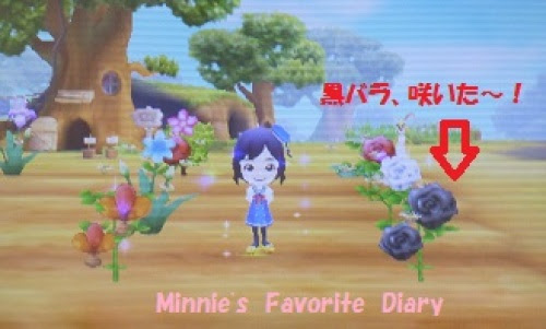 ディズニー画像のすべて 最高かつ最も包括的なディズニー Ds マジックキャッスル 攻略