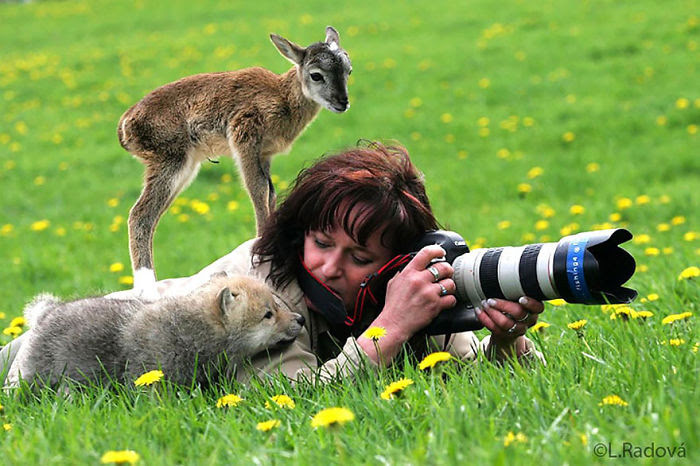 Nature                                                          Photographer