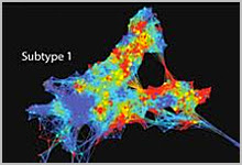 Computational model showing participants clustered into diabetes subtypes.