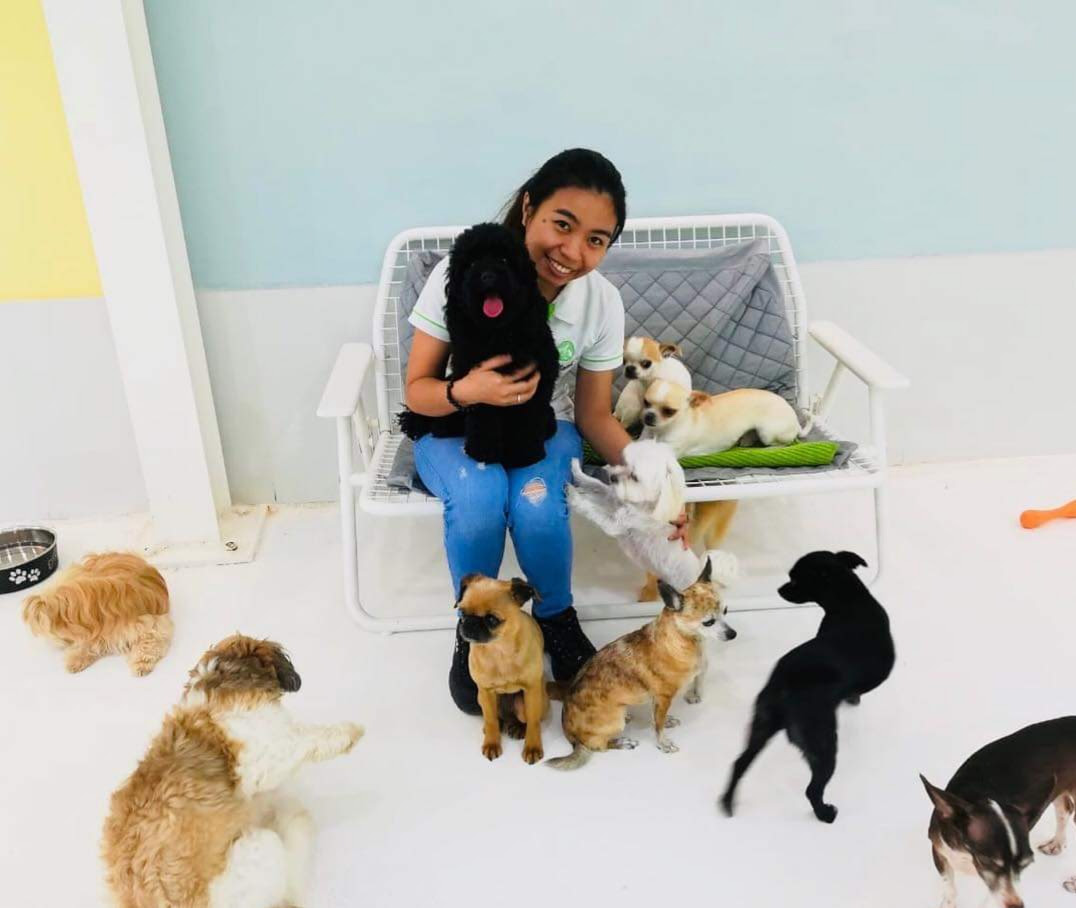 Hotels near aerodromo de playa del carmen (pcm). Pet Boarding Dubai Pet Station Group