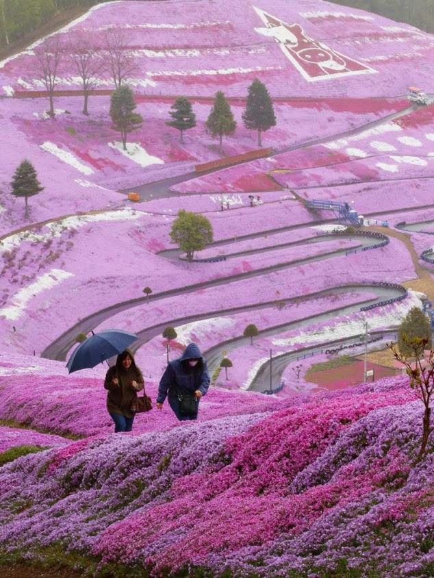 30 Photos of Fascinating Places Around the World 