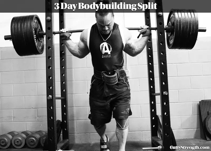 Bodybuilding Workout 3 Day Split | Get Healthy and Strong Today