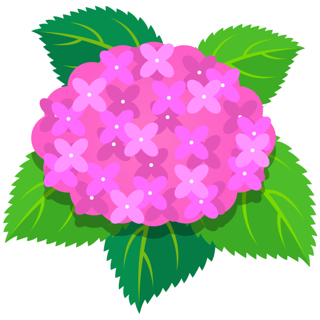 立派な アジサイ イラスト 無料