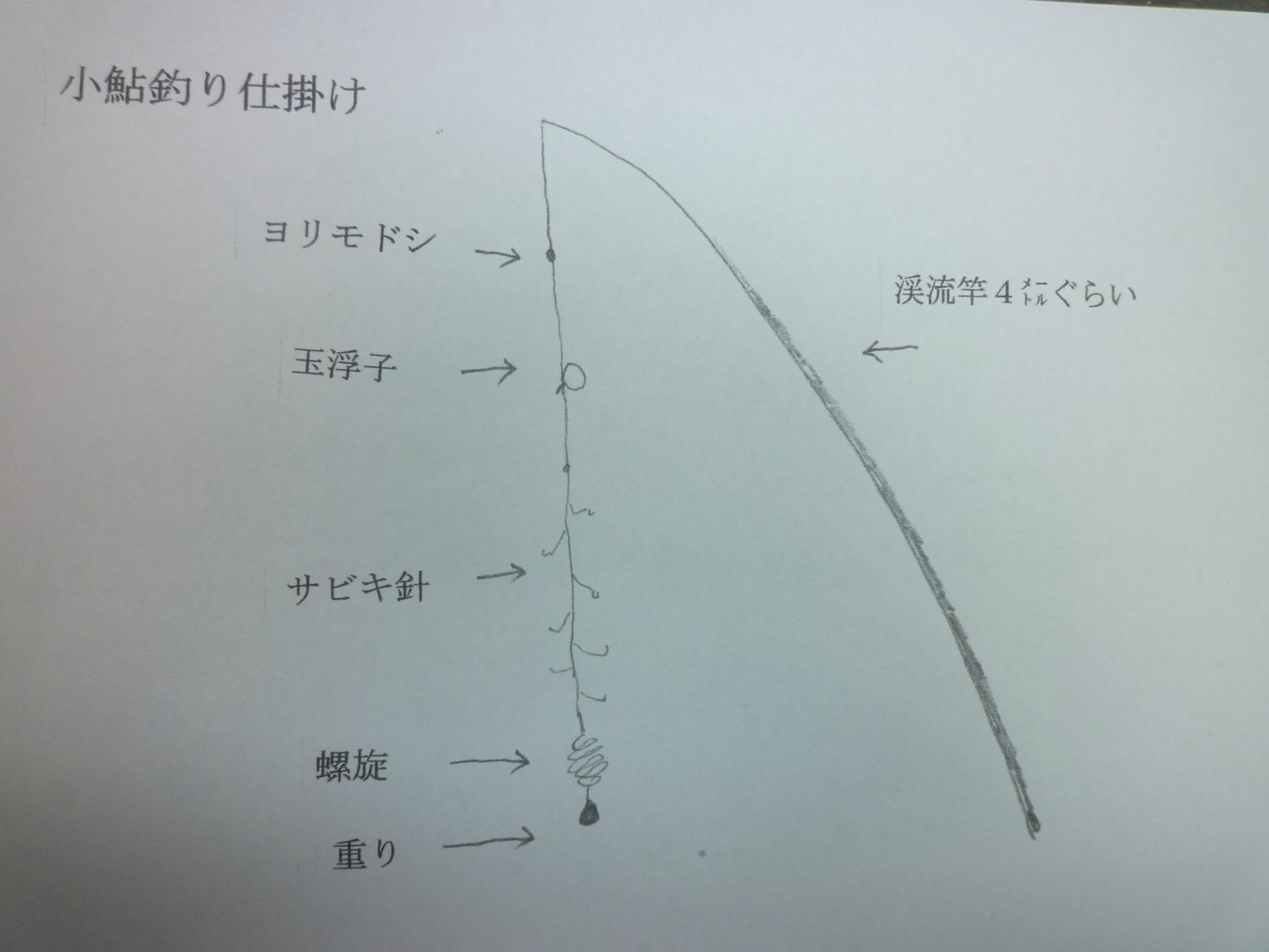 元のアユ釣り 仕掛け すべての魚の画像