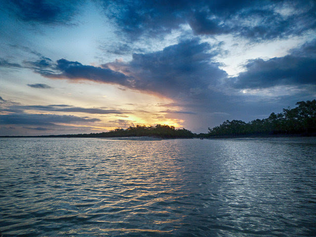 Sundarbans