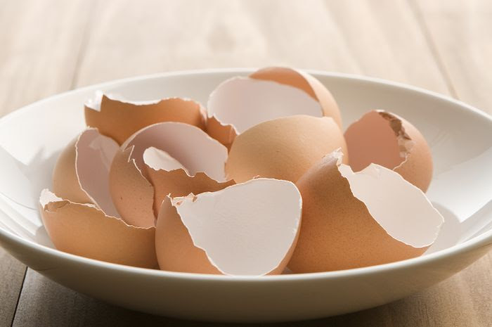 Gambar Kolase Dari  Kulit  Telur 