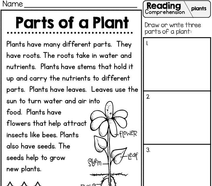teach child how to read 1st grade science comprehension worksheets