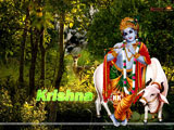 Krishana Wallpaper