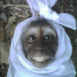 19+ Populer Foto Hantu Seram Tapi Lucu