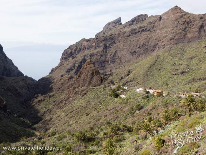 52 Best Photos Haus Kaufen Teneriffa : Santa Cruz De Tenerife Haus zum Kaufen € 126,300 | Objekt ...