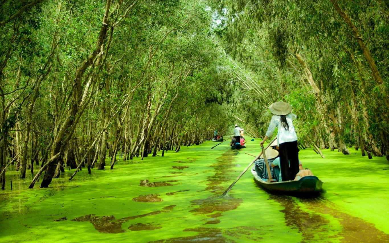 Sở dĩ nơi đây được gọi là chùa dơi là vì khuôn viên chùa có hàng trăm con dơi quạ sinh sống. Ha Ná»™i Cáº§n ThÆ¡ Soc TrÄƒng Báº¡c Lieu Ca Mau Chau Ä'á»'c Cáº§n ThÆ¡
