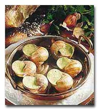 Is squid haram shia / question is octopus haram in islam ebook / in islam permitted foods are called halal, while foods that are not permitted are called haram. Are Snails And Octopus Haram To Eat Off Topic Shiachat Com