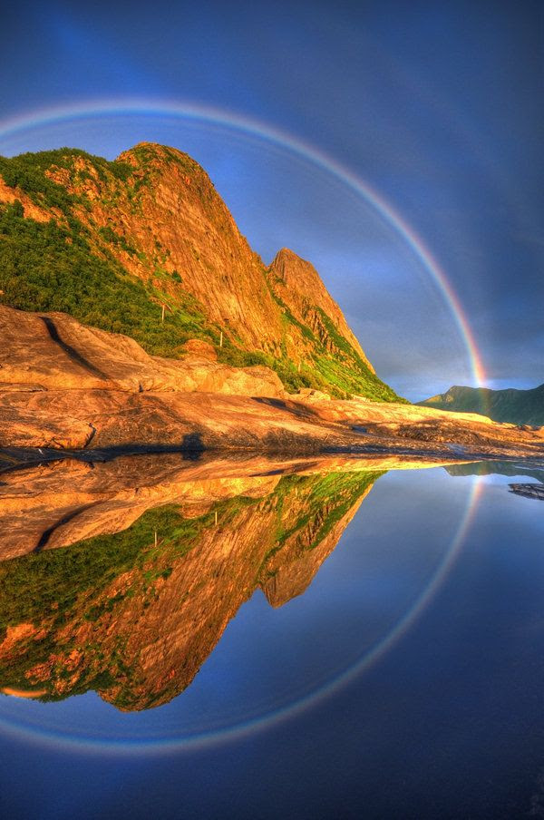 すべての美しい花の画像 トップ100 壁紙 世界 の 絶景