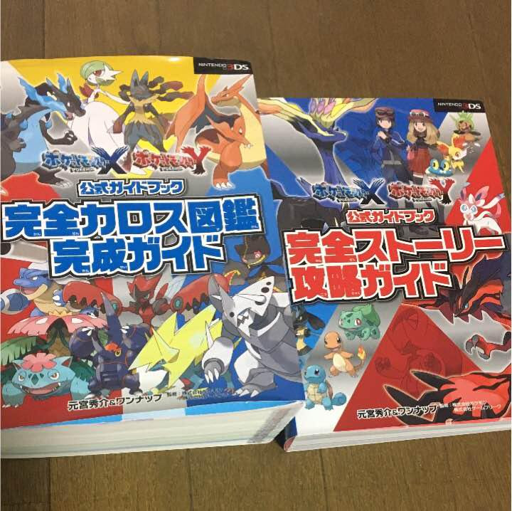 ポケモンxy 攻略 レベル上げ eflm