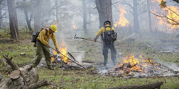 Emergency crew members use shovels to keep pockets of fires controlled, in a smoke-filled meadow.  