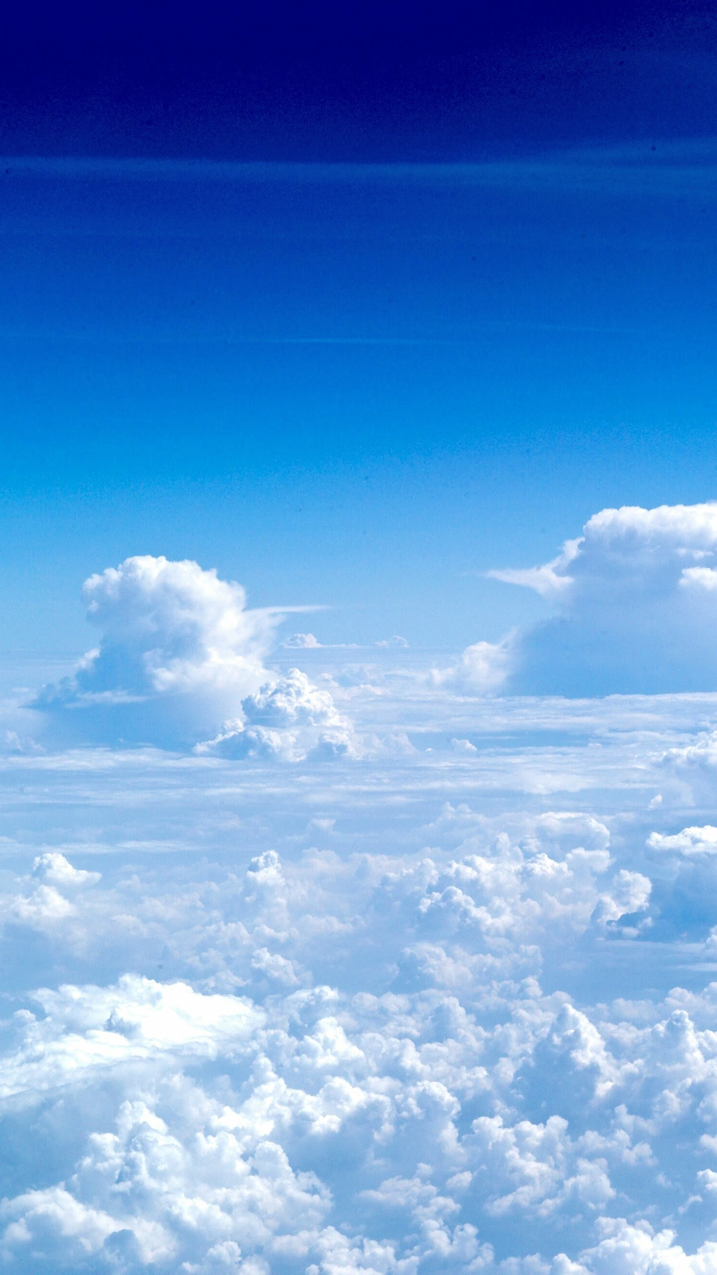 元のスマホ 壁紙 青空 すべての美しい花の画像
