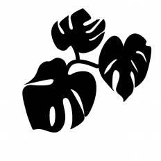 ロイヤリティフリー手書き 観葉 植物 イラスト ディズニー画像のすべて