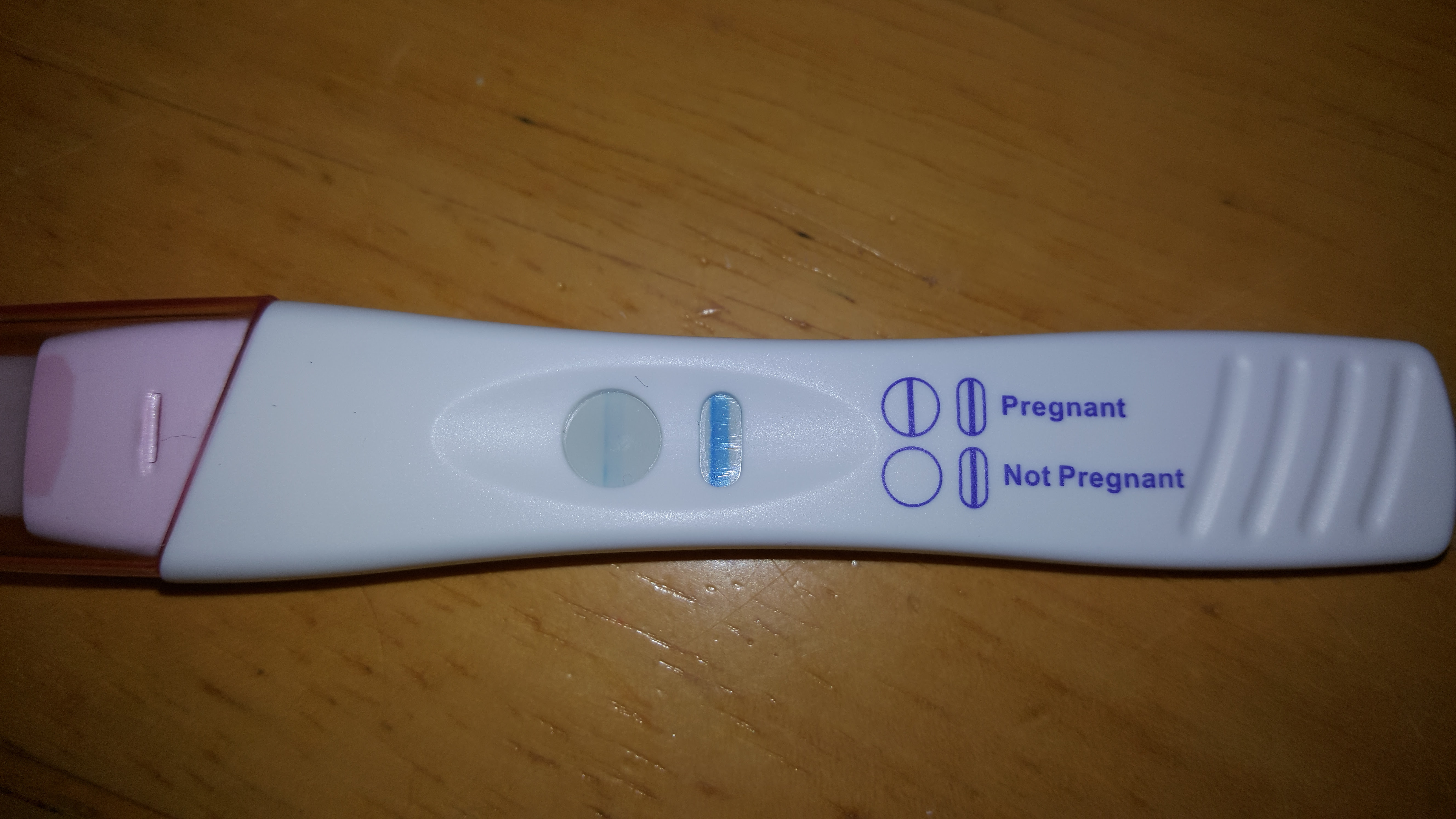 Evap Line  On Clearblue Pregnancy  Test  Pregnancy  Test  Work
