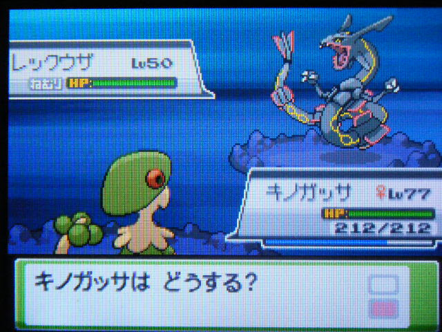イメージカタログ ひどい ハート ゴールド ソウル シルバー どっち