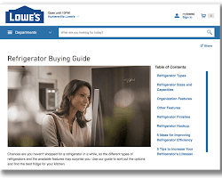 Image of Lowe's website
