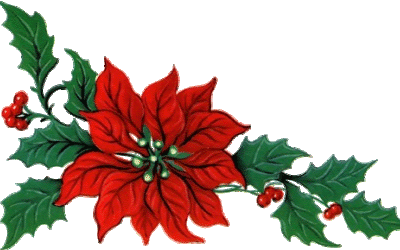 すべての美しい花の画像 クリスマス 花 イラスト フリー