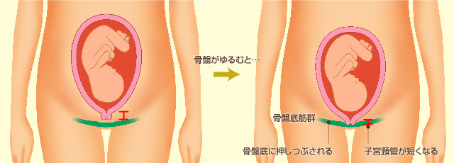 イメージカタログ 新しい 赤ちゃん 下がる 感覚