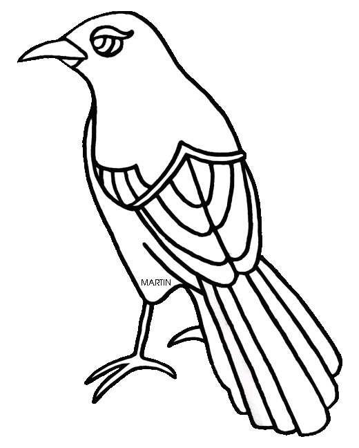 Color the flag's star vertical stripe blue. United States Clip Art By Phillip Martin Texas State Bird Mockingbird