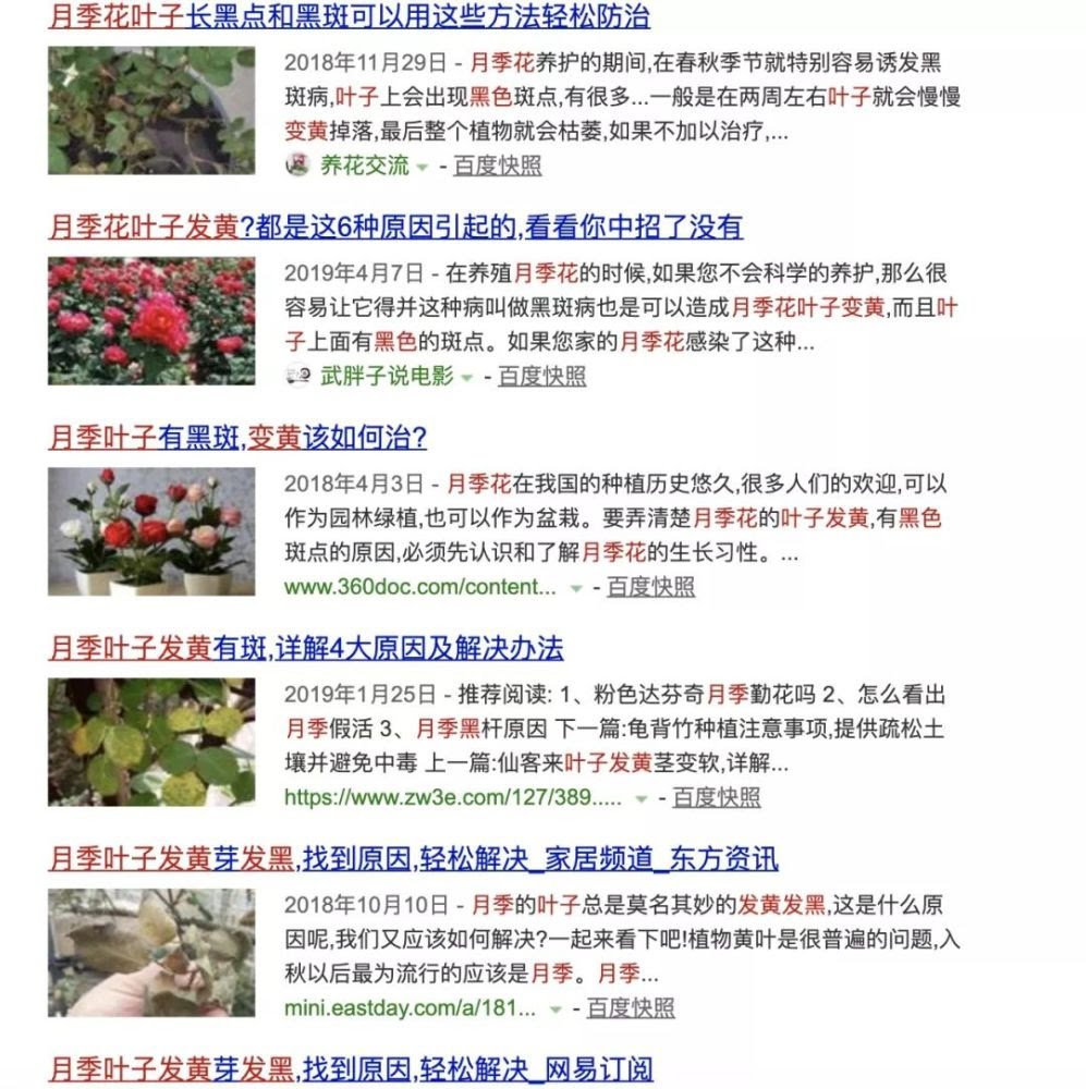 黑魔女百度