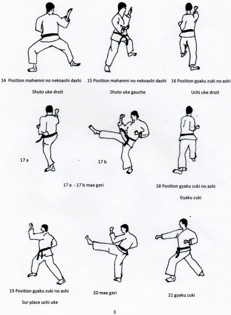 Karate Wado Ryu Kata status  wa  galau