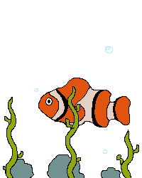 Gambar Ikan Mas Animasi Gambar Ikan HD