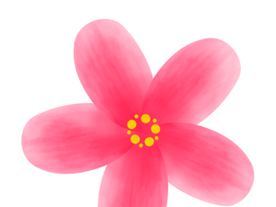 √ 寒椿 イラスト 206239-寒椿 イラスト