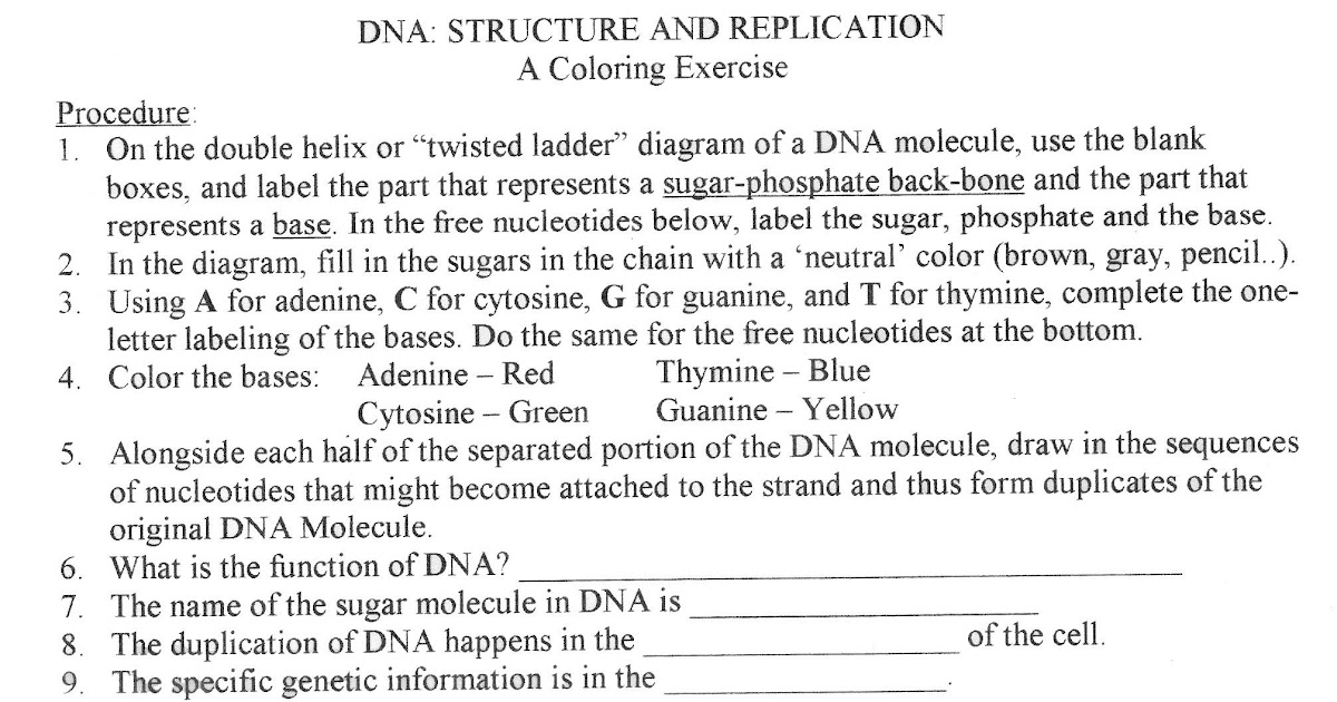 Dna Fingerprint Worksheet Answers - worksheet