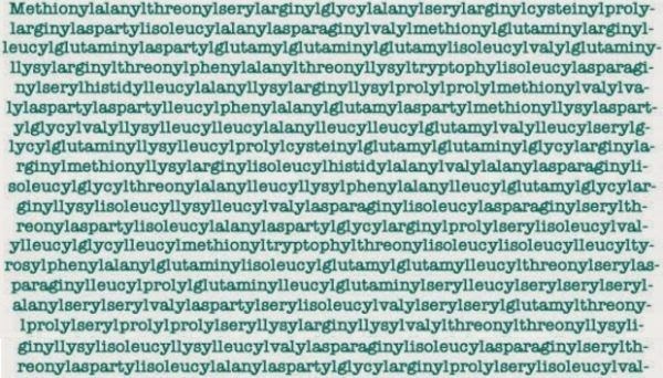 Worlds Longest Word In English  Letter