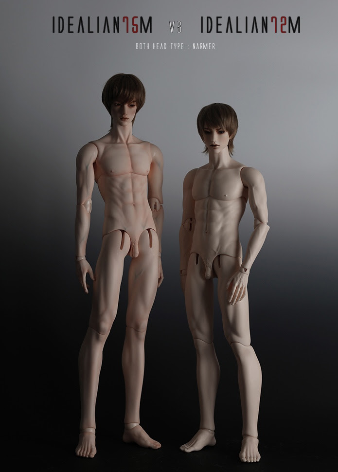 Parts of the body | infographic. Soom Id75 Male Body Bjd Soom Id75 Body Bjd 189 00 Bjd Shop Bjd Lovers Collect Community