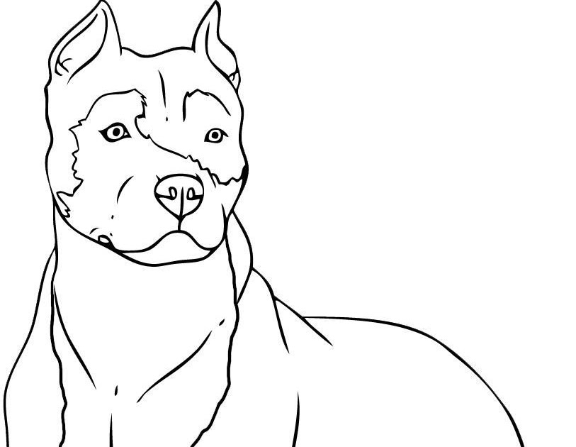How To Draw A Dog Pitbull - SOHOWT