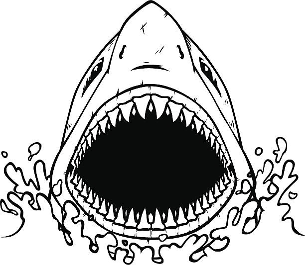 Cartoon Open Mouth Shark Drawing - Draw-re