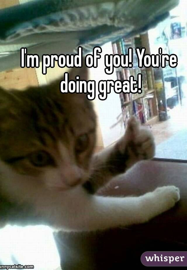 Proud Of You Meme Cat
