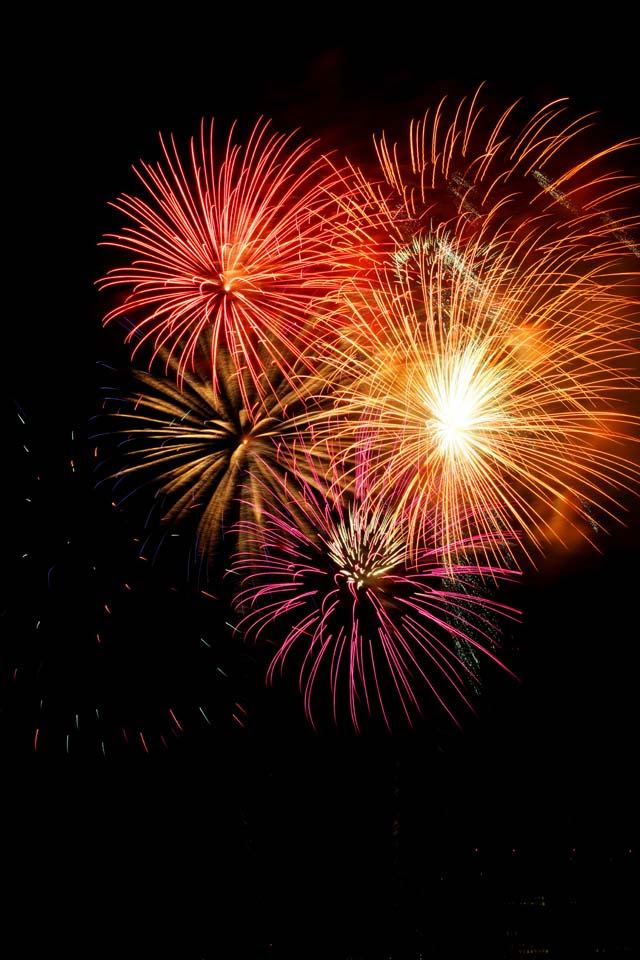 無料ダウンロード打ち上げ花火 壁紙 最高の花の画像